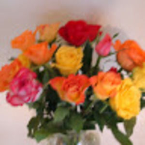 Meet your Posher, Lynn